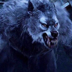 Lycan 