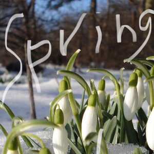 Spring