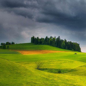 Новичок