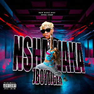 jboy tiger 🐯 - ushawaka (new songs 2021)