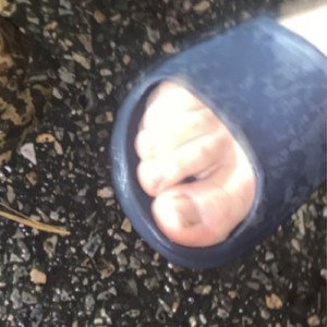 Dad toes