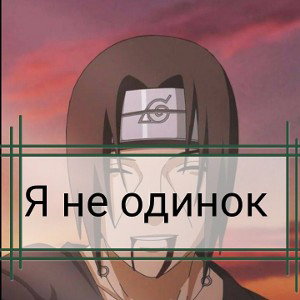   Я не одинок
