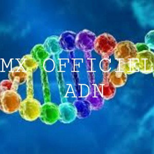 ADN