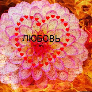 Любовь 