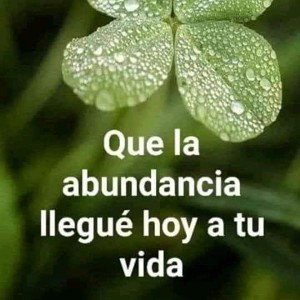 VETE SI ASI LO QUIEREs.