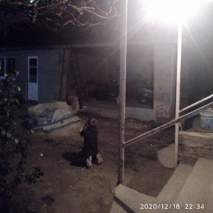 новичок 