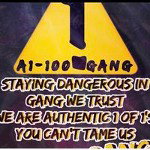 main
crew star