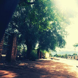 In the Morning