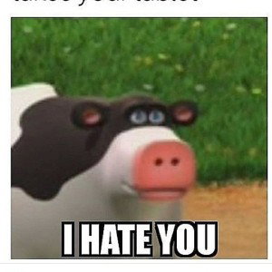 reminder