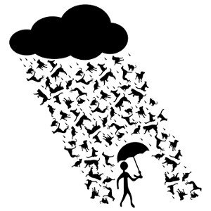 IT PoURs