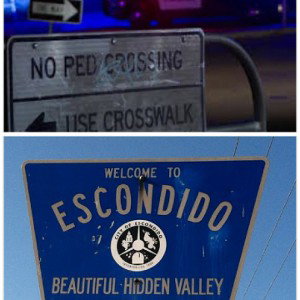 OG GROW UP FROM THIS STREET'S