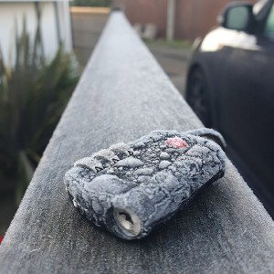  Cold Life