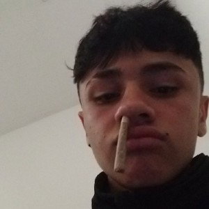 suniky 