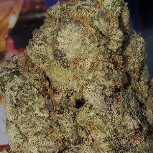 Runt-on-Deck-M.o.d Srcap