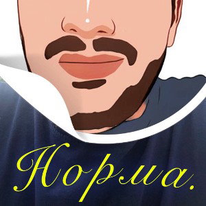 Норма.-Русло дэмо