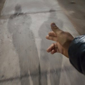 free 3