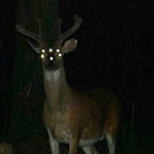 Full Møøn