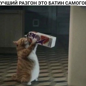 нубики и груши нубики и груши
