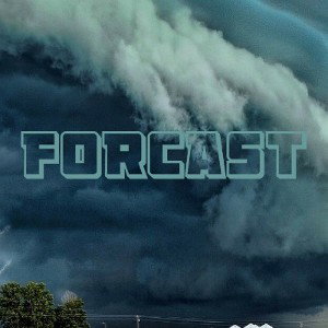 11.Forcast