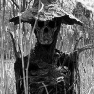  Scarecrow 