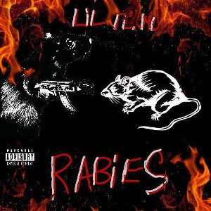 Rabies