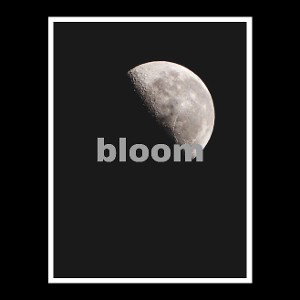Bloom