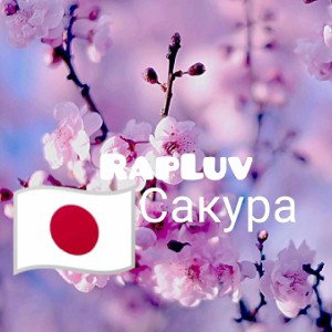 Сакура