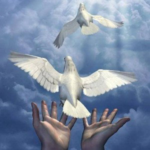 repose en paix 🙏partager un max ❤