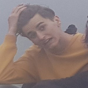 ёжики