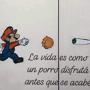 sin autonute 👽