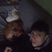 Ti faccio un buco in testa