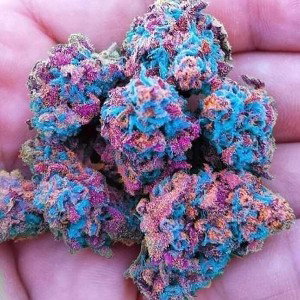 candy kanes🔥🔮