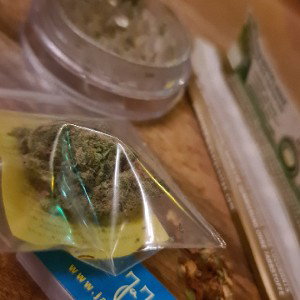 ⚡FREESTYLE STONER PART 3 ⚡ 
