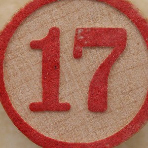 D.R. Dhonsin - 17