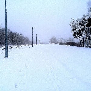 prolet'one (XoTerriah) gefässelt