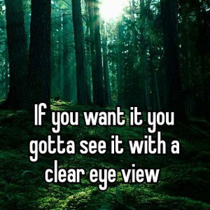 See It Clear Now