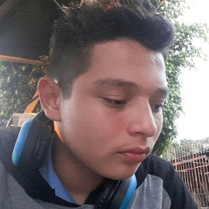 Mi Camino 