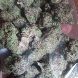Stoner's Musik