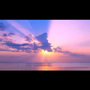 skies