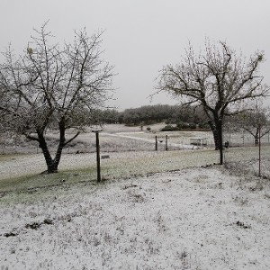 December 