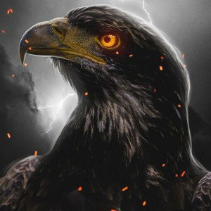 RikosheT --- NiLhof_Diss