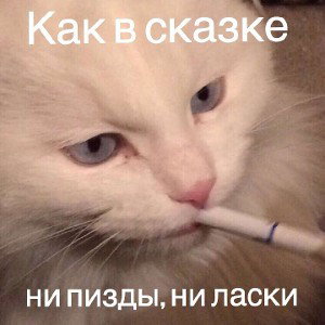 НИХУЯ