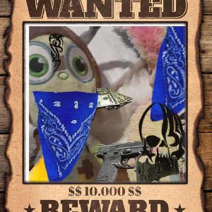 Dirt Bag
