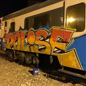 Polise