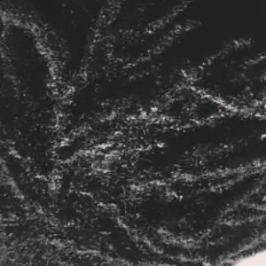 Panic_12-59