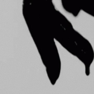black blood    
