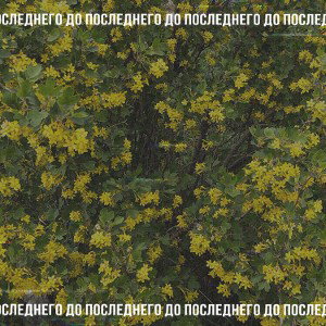 Кристалл
