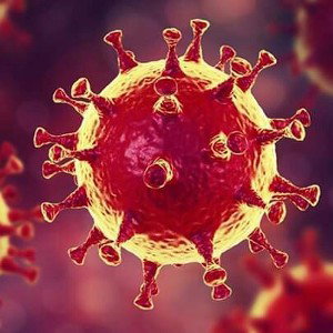 #CORONAVIRUS #REFLECCIÓN 😼