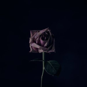 Accepting Depression Feat. Shiloh Dynasty (Prod. Beats by Con)