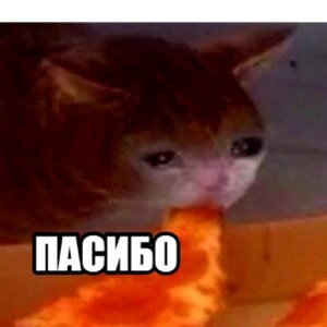 рол